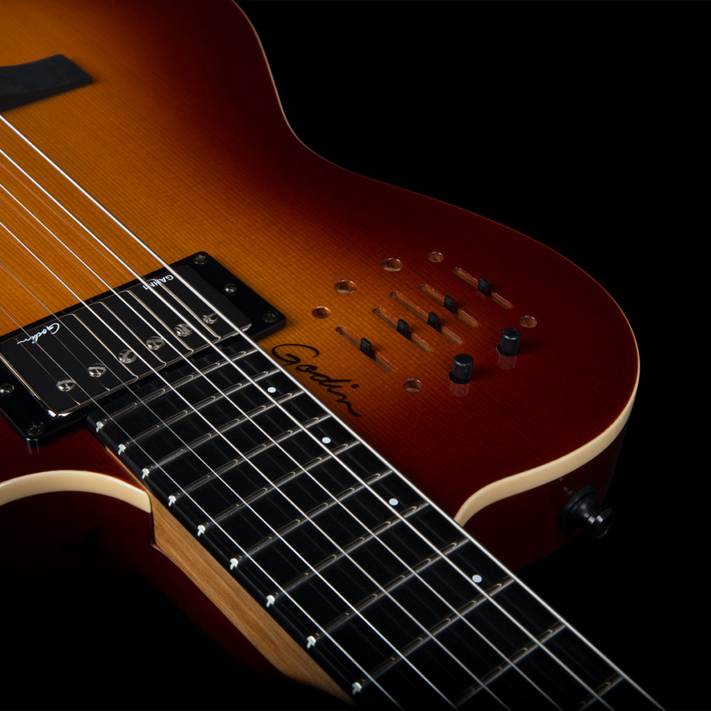 Godin A6