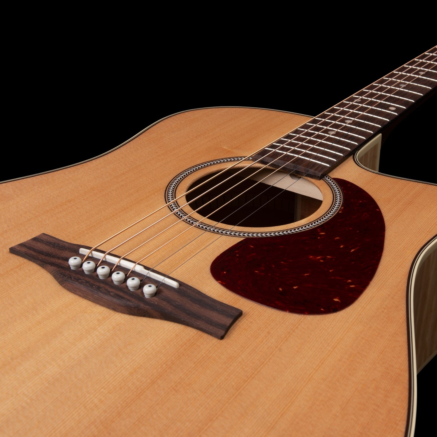 Seagull by Godin PERFORMER Dreadnought